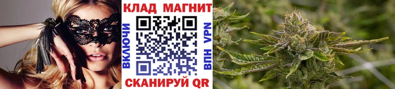Где можно купить наркотики Новое Девяткино ГАШ  Галлюциногенные грибы  COCAIN  МЕФ  МАРИХУАНА 